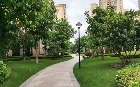 long8-��8(����)Ψһ�ٷ���վ