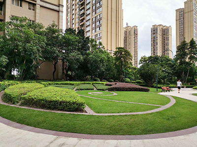 long8-��8(����)Ψһ�ٷ���վ