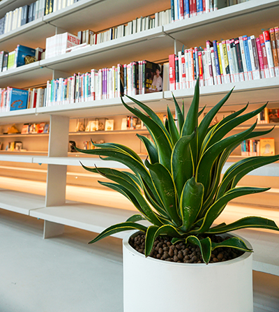 long8-��8(����)Ψһ�ٷ���վ