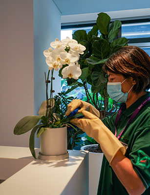 long8-��8(����)Ψһ�ٷ���վ