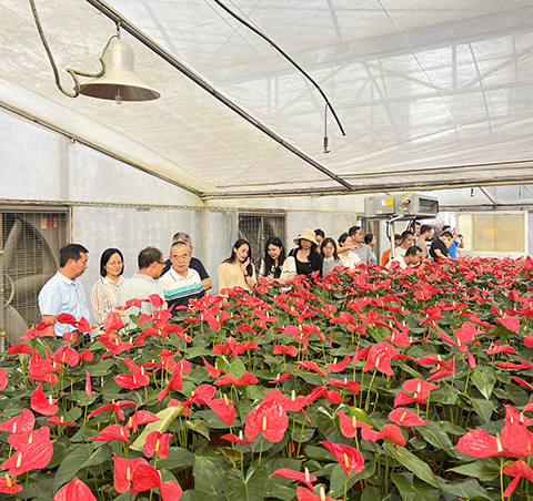 long8-��8(����)Ψһ�ٷ���վ