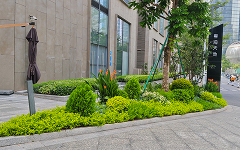 long8-��8(����)Ψһ�ٷ���վ