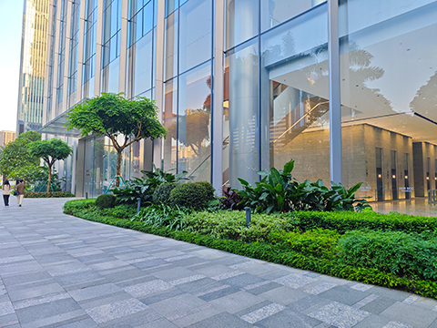 long8-��8(����)Ψһ�ٷ���վ