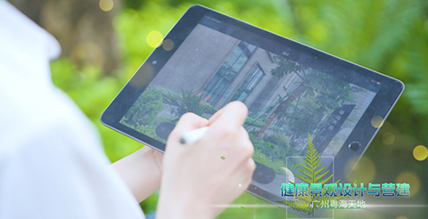 long8-��8(����)Ψһ�ٷ���վ