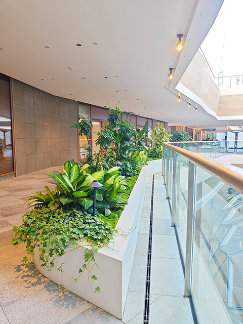 long8-��8(����)Ψһ�ٷ���վ