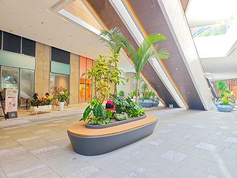 long8-��8(����)Ψһ�ٷ���վ