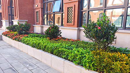 long8-��8(����)Ψһ�ٷ���վ