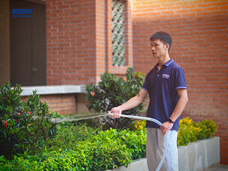 long8-��8(����)Ψһ�ٷ���վ