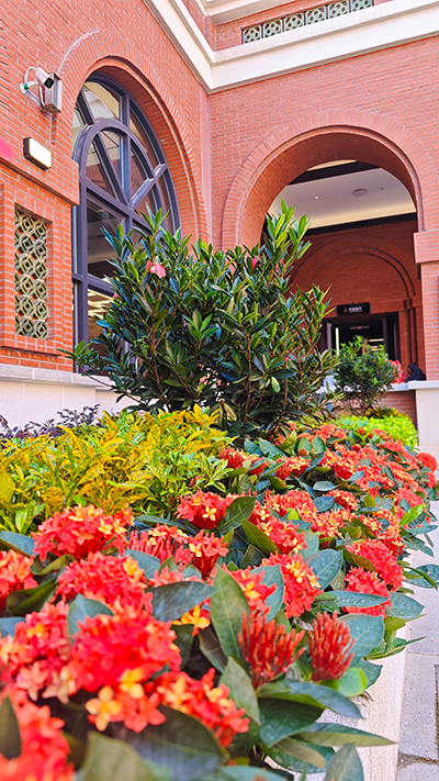 long8-��8(����)Ψһ�ٷ���վ