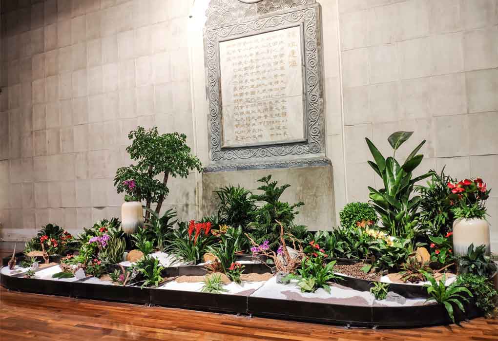 ��ɽ��������ֲЧ����Ŀ