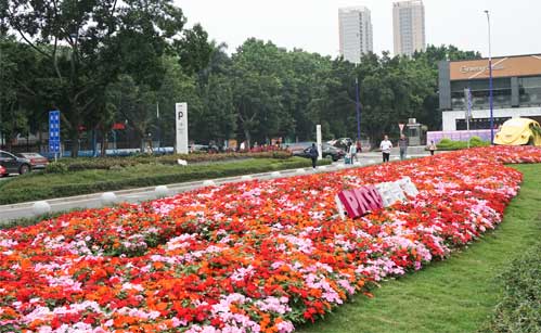 �̳������̻�����