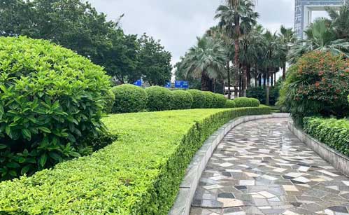 ��ҵ�����̻�����