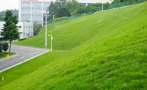 �����̻�����