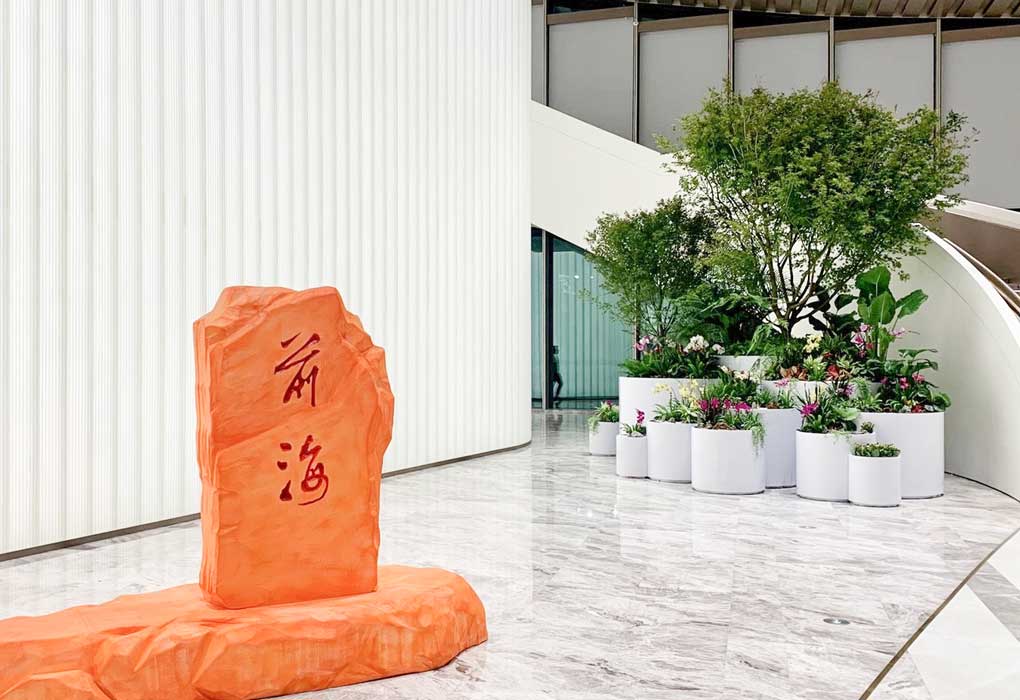 ����ǰ�����ʼ���������ֲЧ��