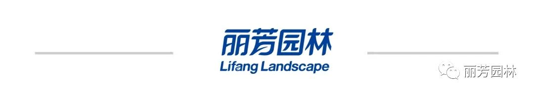 long8-��8(����)Ψһ�ٷ���վ