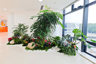 long8-��8(����)Ψһ�ٷ���վ