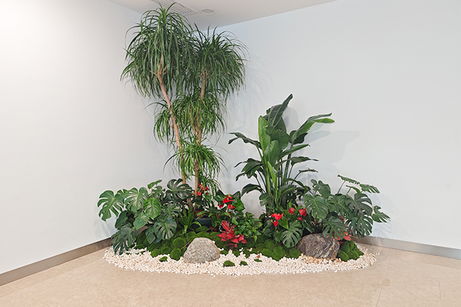 �����о�Ժ��ֲ���