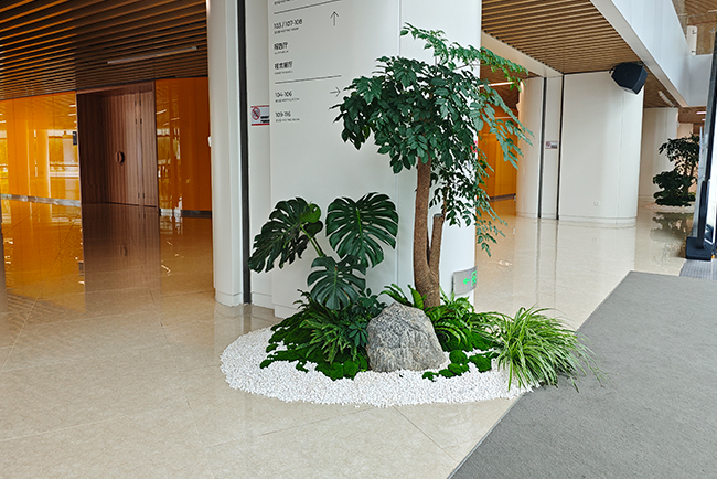 �����о�Ժ��ֲ���